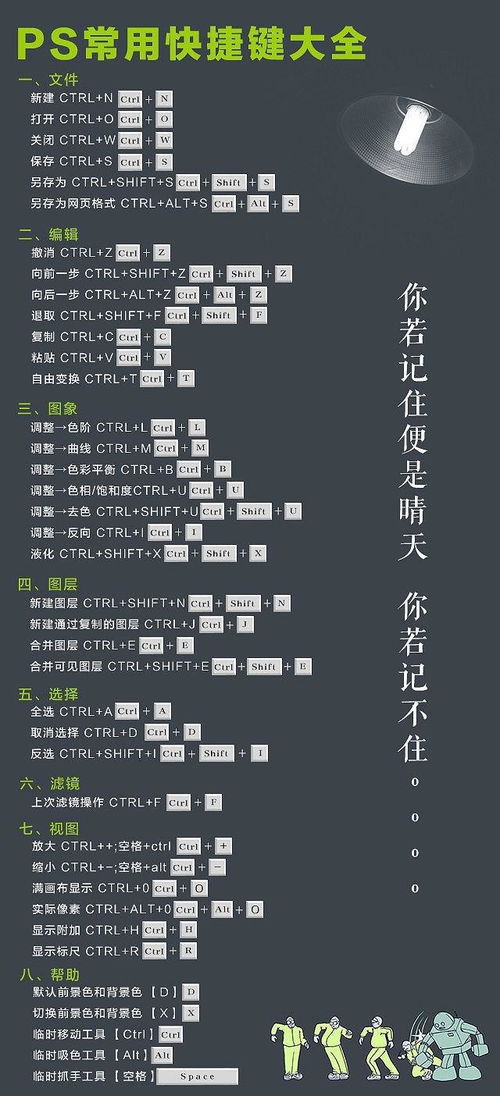 SAI與PS繪畫入門 核心功能詳解與軟件服務(wù)對比
