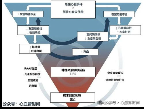 一圖看懂心源性休克機制 信息處理與存儲服務(wù)視角